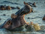 6 Days: Big Five & iSimangaliso Wetlands Photo 