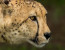 6 Days: Big Five & iSimangaliso Wetlands Photo 