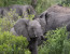 6 Days: Big Five & iSimangaliso Wetlands Photo 