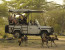 16 Days Best of Tanzania and South Africa - The Ultimate Honeymoon Tour