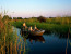 Okavango & Makgadikgadi Pans