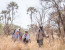 Affordable Botswana Experience