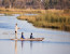 Affordable Botswana Experience