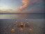 Fly me to the Beach - &Beyond Mnemba Island Zanzibar - High Season (Jan 1 - March 31, June 1 - Nov 30)