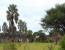 7-Day Namibia Cultural and Wildlife Experience Tour