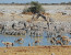 7-Day Namibia Cultural and Wildlife Experience Tour