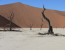 Classic Namibia Green Season Safari