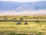 5 Days Tanzania Camping Safari (With Serengeti & Ngorongoro)