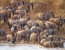 6 Days Masai Mara Wildebeest Migration Safari Holiday