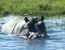 Canoeing the Zambezi