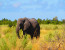 7 Days Livingstone and South Luangwa Tour
