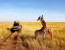 5 Days Tanzania Camping Safari (With Serengeti & Ngorongoro)