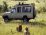 3-Day Tanzania in a Short Glimpse Safari