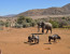 Pilansberg National Park