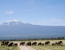 Private 5 Day Affordable Wildlife Safari in Kenya