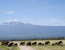 Private 6 Days Amboseli Tsavo West & Taita Hills Safari