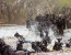 Private 9 Night Kenya Wildlife Safari and Mombasa Diani Beach Holidays