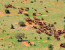 Private 3 Day Tsavo East & Tsavo West Wildlife Safari From Mombasa