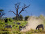 Private 6 Days Amboseli Tsavo West & Taita Hills Safari