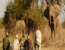 Private 12 Days Best of Kenya and Tanzania Wildlife Safari