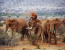 Private 6 Days Amboseli Tsavo West & Taita Hills Safari