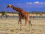 10 Days Kenya Paradise Safari