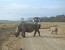 3 DAYS MAASAI MARA CAMPING SAFARI