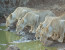 Luxury 5 Day Lesotho, Drakensberg and Safari Tour from Durban
