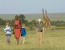 Tanzania Lodge Safari-6 Days itinerary with Tarangire, Lake Manyara & Eyasi, Serengeti & Ngorongoro Crater