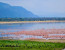 5 DAYS 4 NIGHTS BUDGET CAMPING SAFARI 