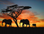 2 day safari to Lake Manyara and ngorongoro crater