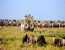 Tanzania Lodge Safari-6 Days itinerary with Tarangire, Lake Manyara & Eyasi, Serengeti & Ngorongoro Crater