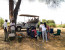 Tanzania Lodge Safari-6 Days itinerary with Tarangire, Lake Manyara & Eyasi, Serengeti & Ngorongoro Crater