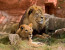 7 Days Tailor made Tour Northern Tanzania Safari