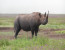Classic Tanzania Natural wonders Safari