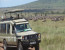 Classic Tanzania Natural wonders Safari