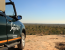 Sunset Safari Kruger