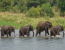 10 Days Uganda Gorilla and Wildlife Safari