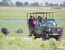 Unforgettable Okavango Delta and Chobe