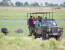 Unforgettable Okavango Delta and Chobe