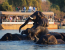 Nature Up Close - Chobe and Okavango