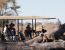 Nature Up Close - Chobe and Okavango