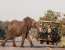 Nature Up Close - Chobe and Okavango