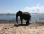 Nature Up Close - Chobe and Okavango