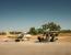 Nature Up Close - Chobe and Okavango