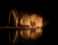 Nature Up Close - Chobe and Okavango