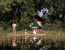 Nature Up Close - Chobe and Okavango