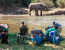 Mighty Zambezi Canoe Trail