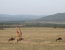 5 Day Memorable Safari In Kenya