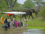 4 Day Safari to Selous Game Reserve
